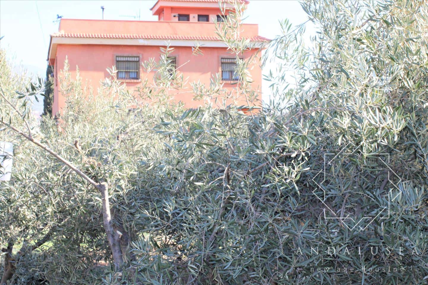 5 chambre Villa/Maison à vendre à Fondon - 450 000 € (Ref: 6644242)