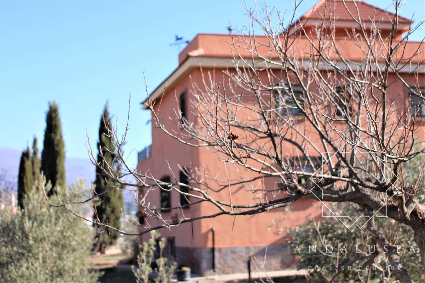 5 chambre Villa/Maison à vendre à Fondon - 450 000 € (Ref: 6644242)