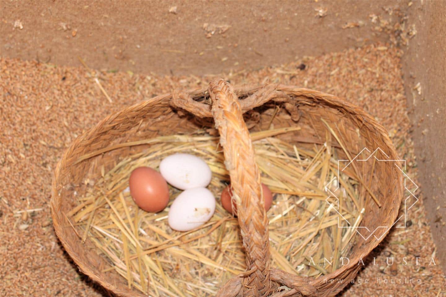 5 chambre Villa/Maison à vendre à Fondon - 450 000 € (Ref: 6644242)