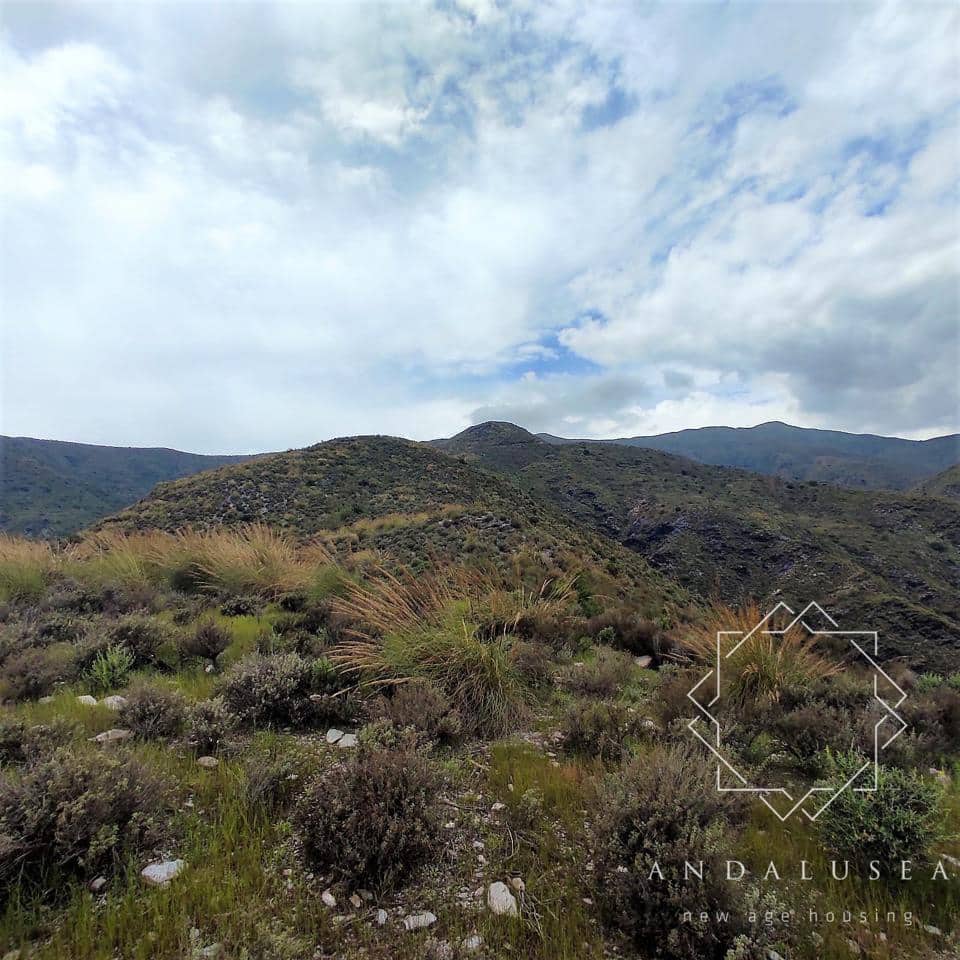 Teren niezagospodarowany na sprzedaż w Mojacar - 495 000 € (Ref: 6954198)