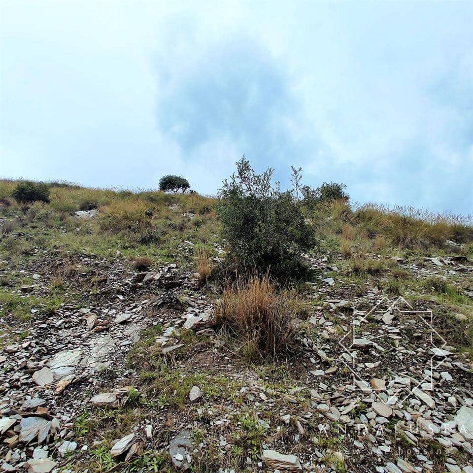 Ubebygd land til salgs i Mojacar - € 495 000 (Ref: 6954198)