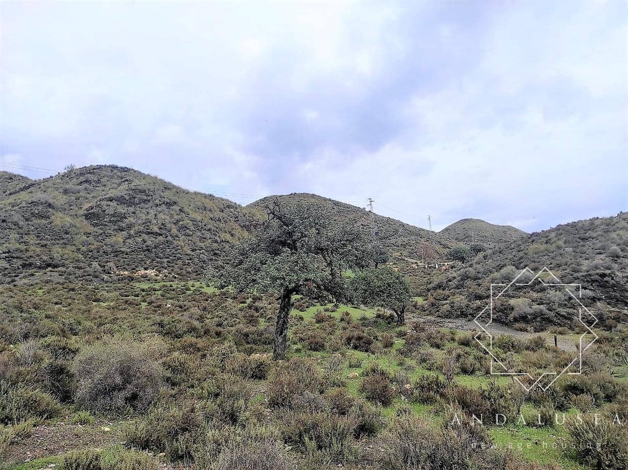 Ubebygd land til salgs i Mojacar - € 495 000 (Ref: 6954198)