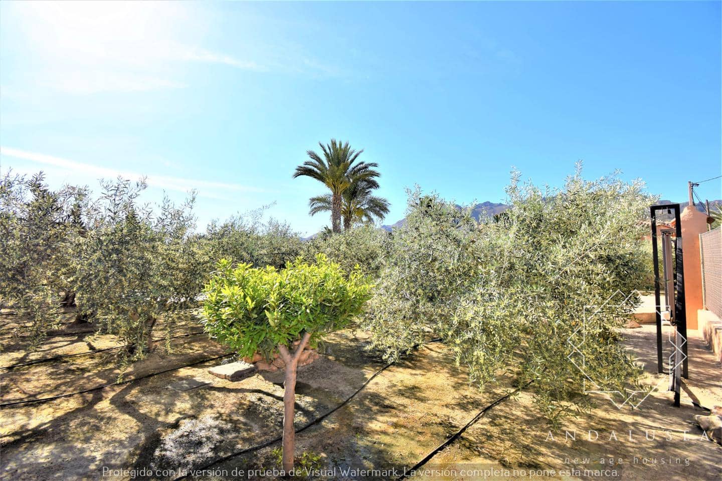 3 soveværelse Villa til salg i Turre med swimmingpool - € 398.000 (Ref: 7585193)