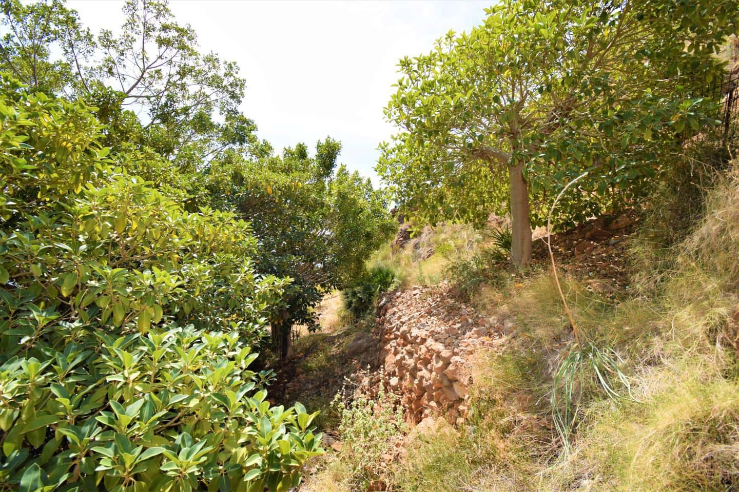 Grunde uden byggetilladelser til salg i Mojacar - € 289.800 (Ref: 7588180)