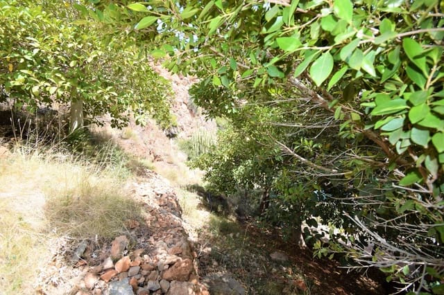 Ubebygd land til salgs i Mojácar - € 289 800 (Ref: 7588180)