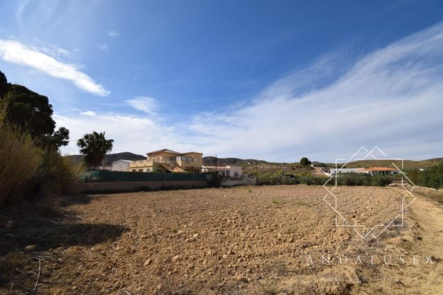 Terre non Aménagée à vendre à Alfaix, Los Gallardos - 90 000 € (Ref: 8304342)