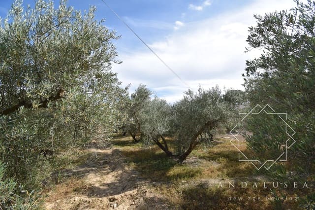 Terre non Aménagée à vendre à Alfaix, Los Gallardos - 90 000 € (Ref: 8304342)