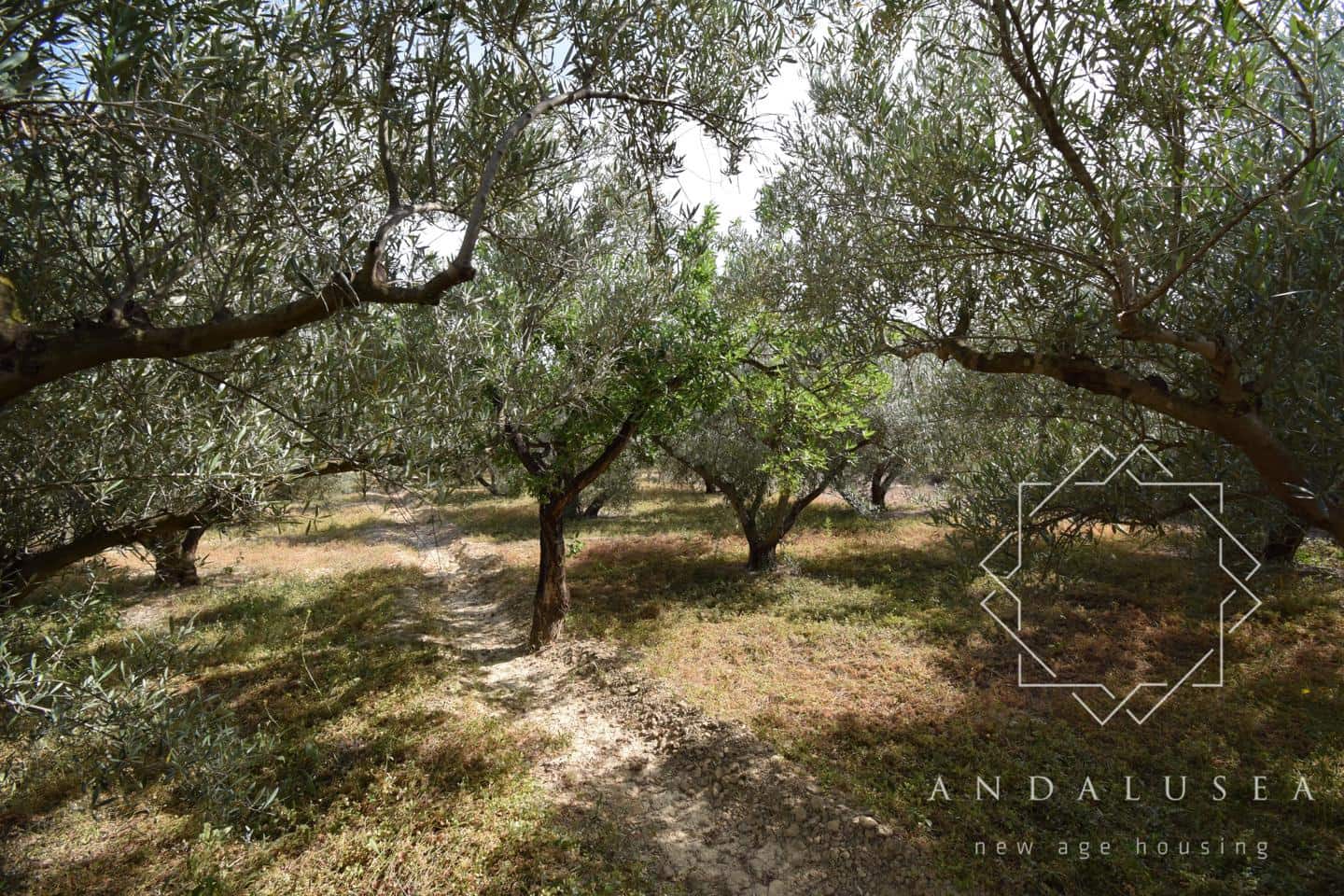 Grond te koop in Alfaix - € 90.000 (Ref: 8304342)