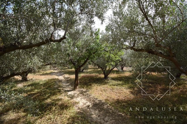 Terre non Aménagée à vendre à Alfaix, Los Gallardos - 90 000 € (Ref: 8304342)