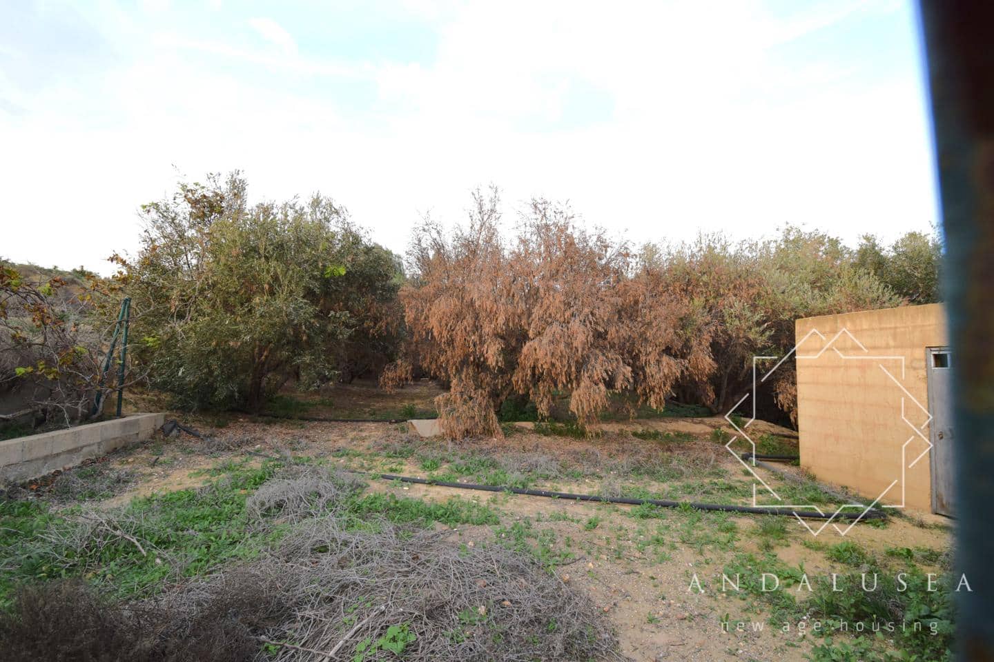 4 bedroom Villa for sale in Antas with pool - € 399,000 (Ref: 8703286)