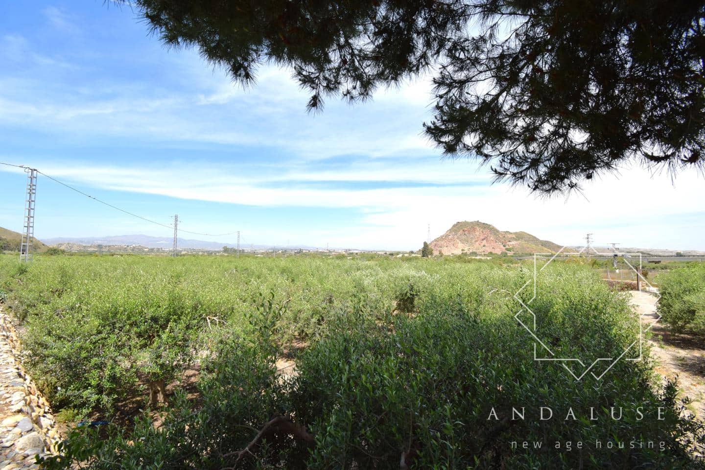 11 makuuhuone Huvila myytävänä paikassa Mojacar - 1 350 000 € (Ref: 9030594)