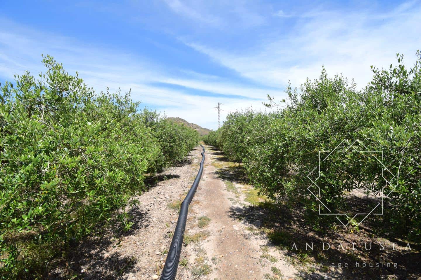 11 makuuhuone Huvila myytävänä paikassa Mojacar - 1 350 000 € (Ref: 9030594)