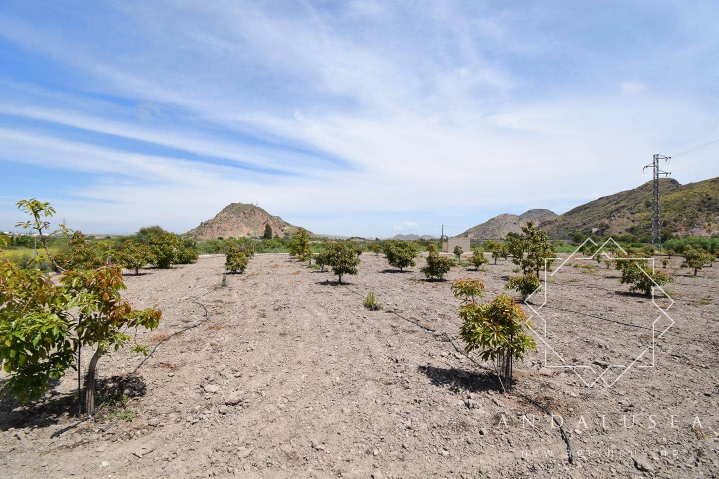 Chalet de 6 habitaciones en Mojácar en venta - 825.000 € (Ref: 9618191)