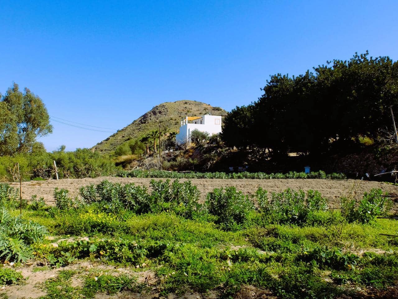 3 soverom Finca/Herregård til salgs i Mojacar - € 360 000 (Ref: 9679181)