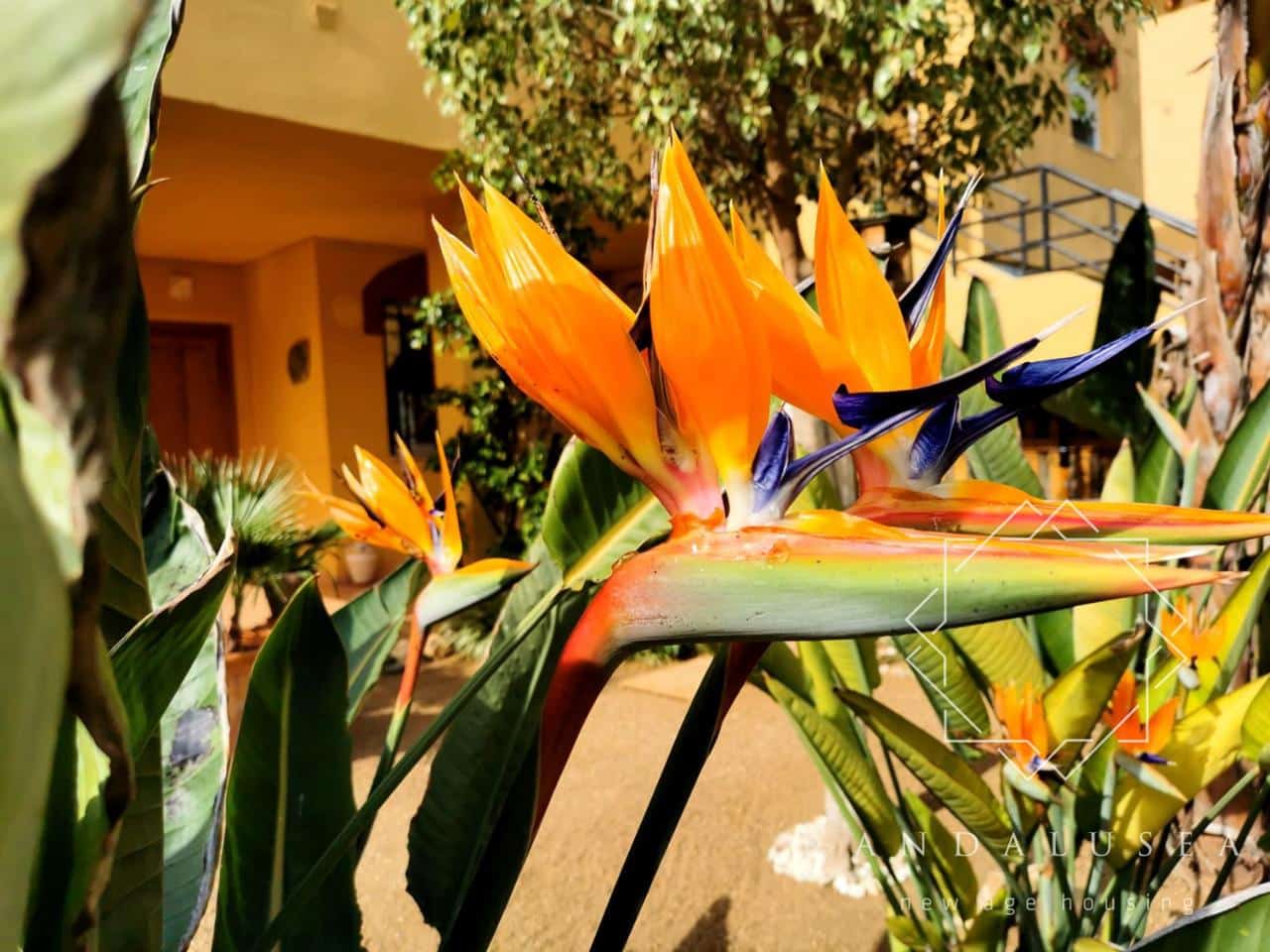 2 bedroom Flat for sale in Los Gallardos with pool - € 139,000 (Ref: 9841505)