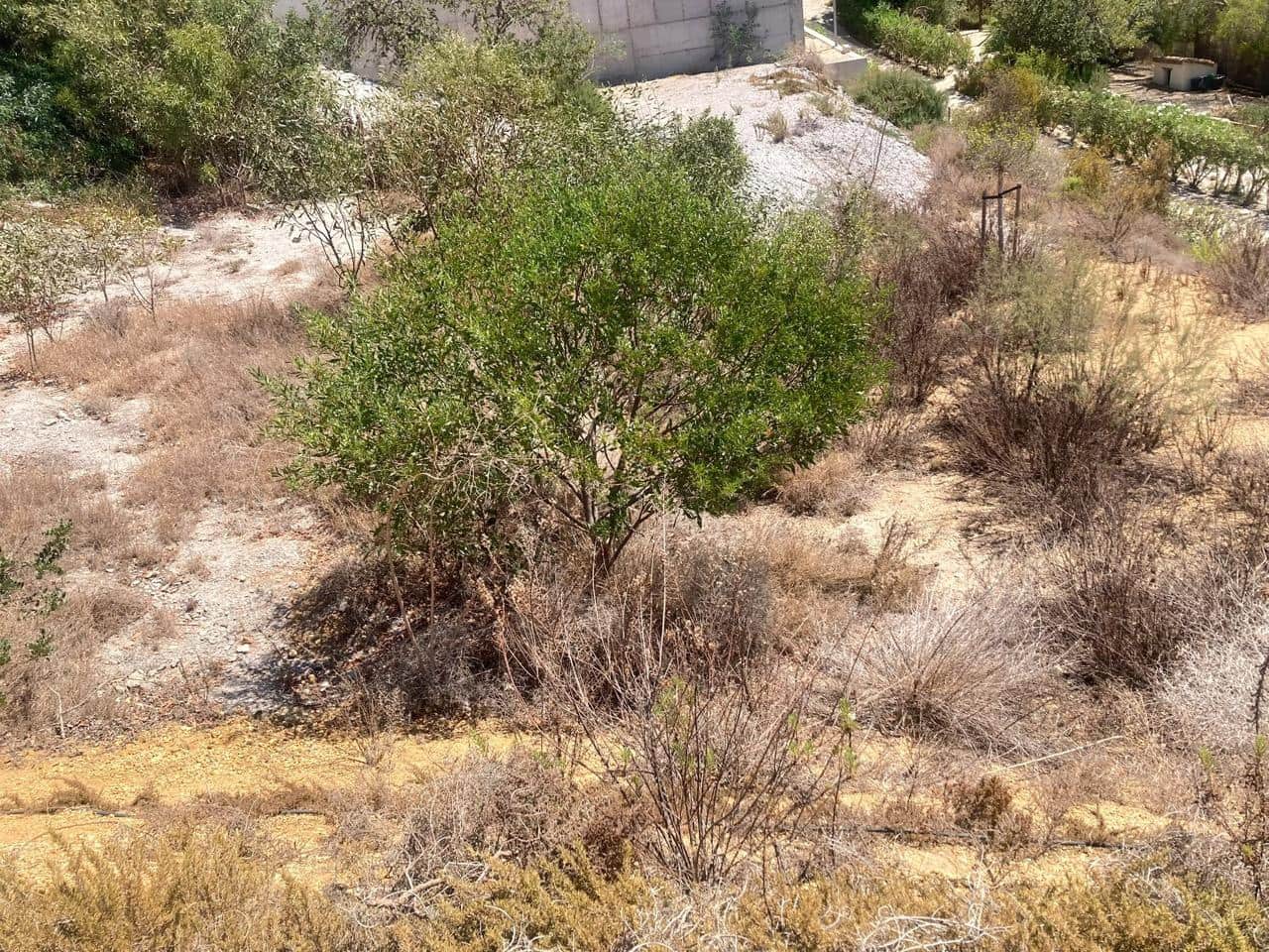 Terreno/Finca Rústica en Mojácar en venta - 170.000 € (Ref: 9972212)