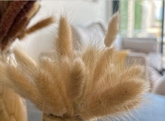 3 bedroom Bungalow for sale in San Fulgencio with pool garage - € 304,900 (Ref: 9453783)