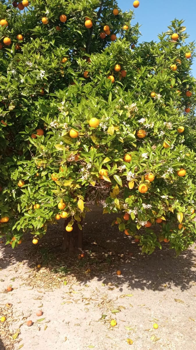 3 bedroom Villa for sale in Benidorm with pool garage - € 385,000 (Ref: 9453813)