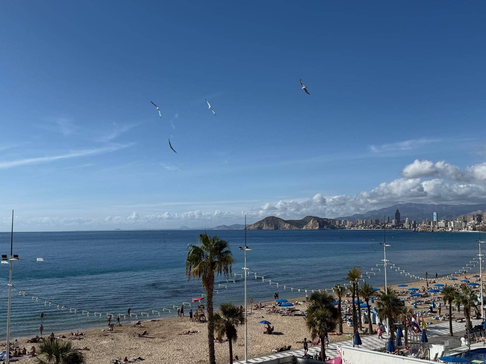 4 soverom Leilighet til salgs i Benidorm med svømmebasseng garasje - € 735 000 (Ref: 9453860)