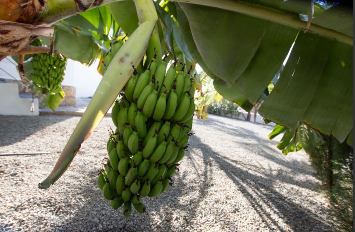 3 soveværelse Villa til salg i Benissa med garage - € 799.000 (Ref: 9454666)