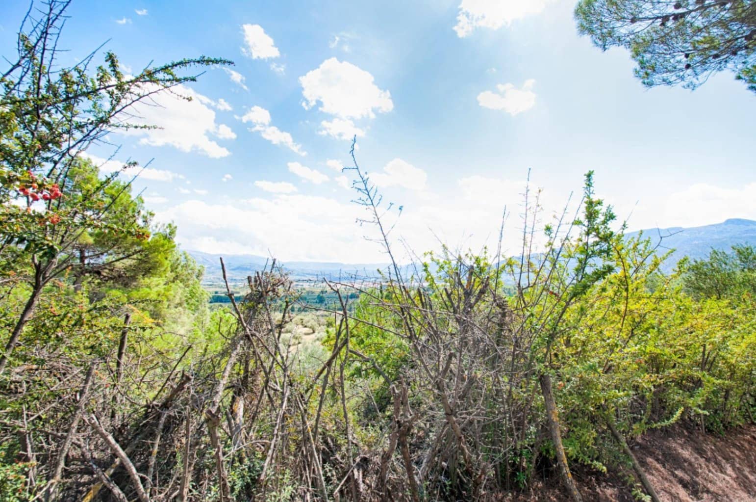 4 soveværelse Villa til salg i Muro de Alcoy med swimmingpool - € 590.000 (Ref: 9458203)