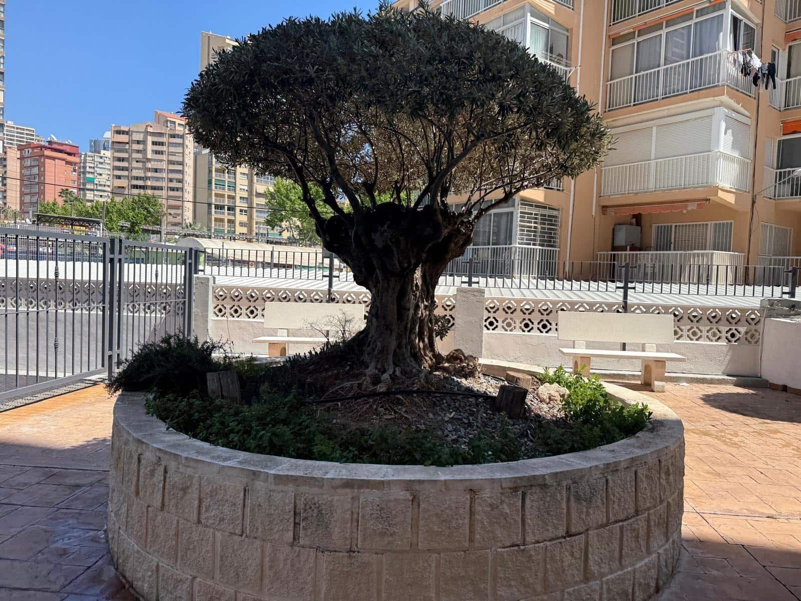 2 bedroom Apartment for sale in Benidorm with pool garage - € 370,000 (Ref: 9458361)