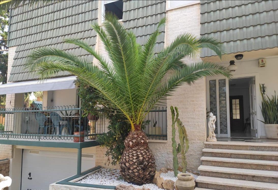 Chalet de 5 habitaciones en Benidorm en venta con piscina garaje - 735.000 € (Ref: 9458403)