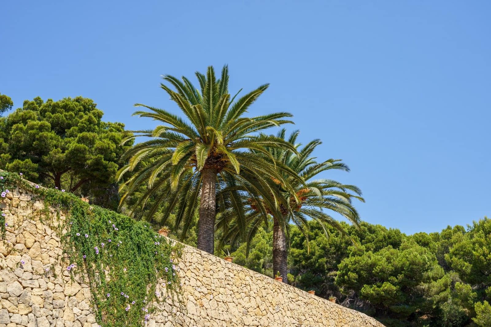 6 bedroom Villa for sale in Calpe / Calp with pool garage - € 795,000 (Ref: 9459577)