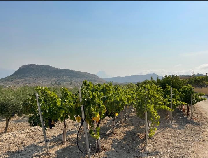 3 bedroom Villa for sale in Relleu with garage - € 413,600 (Ref: 9459584)