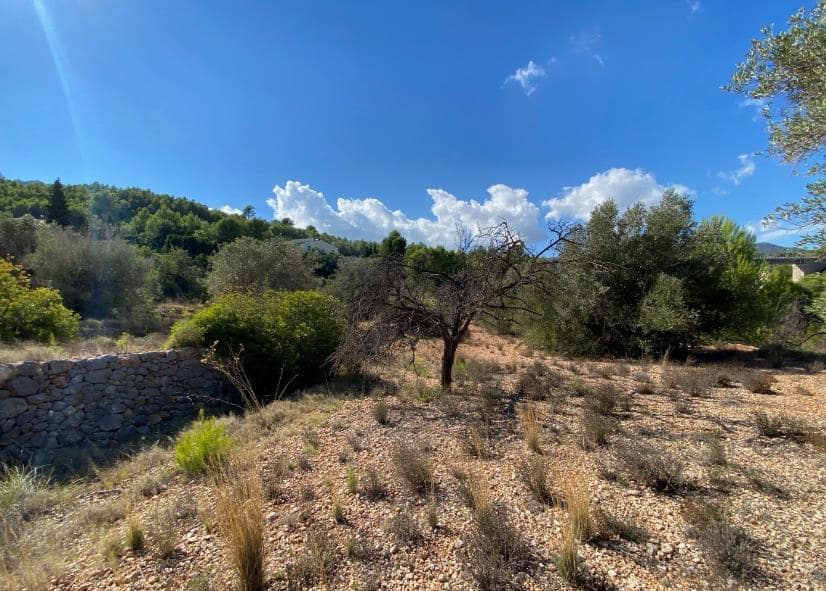Building Plot for sale in Benissa - € 230,000 (Ref: 9459621)