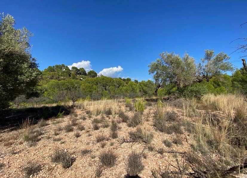 Building Plot for sale in Benissa - € 230,000 (Ref: 9459621)