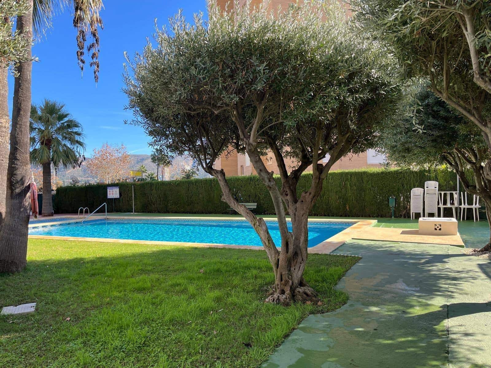 2 Zimmer Apartment zu verkaufen in Benidorm mit Pool - 189.000 € (Ref: 9503515)