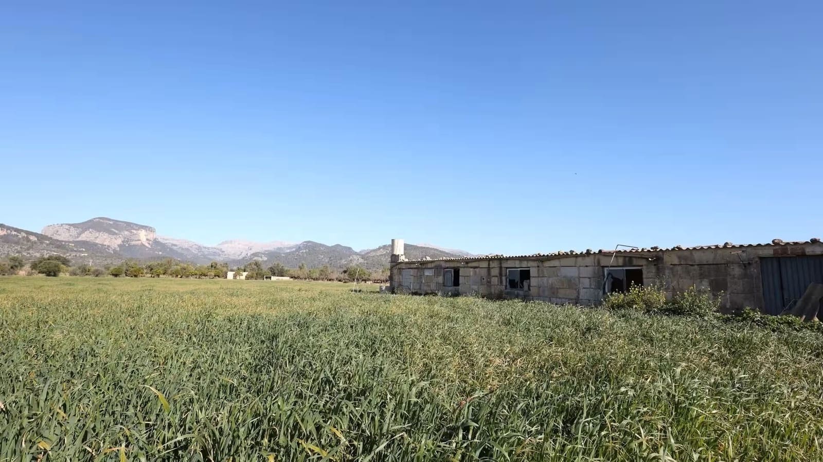 Grond te koop in Binissalem - € 445.000 (Ref: 10074651)