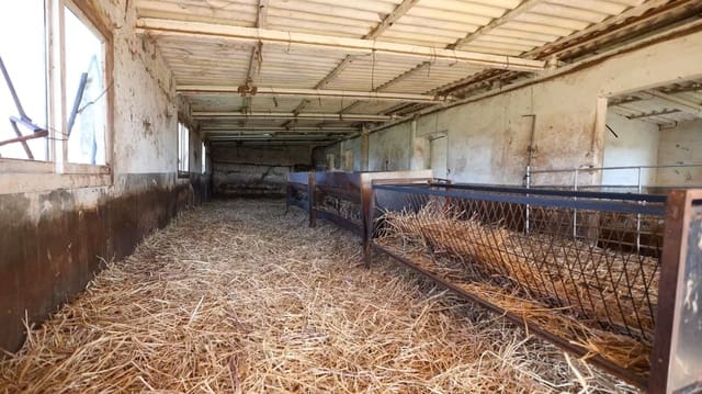Teren niezagospodarowany na sprzedaż w Binissalem - 445 000 € (Ref: 10074651)
