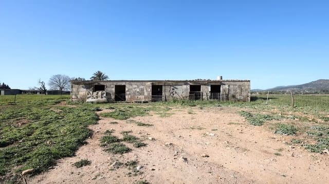 Teren niezagospodarowany na sprzedaż w Binissalem - 445 000 € (Ref: 10074651)