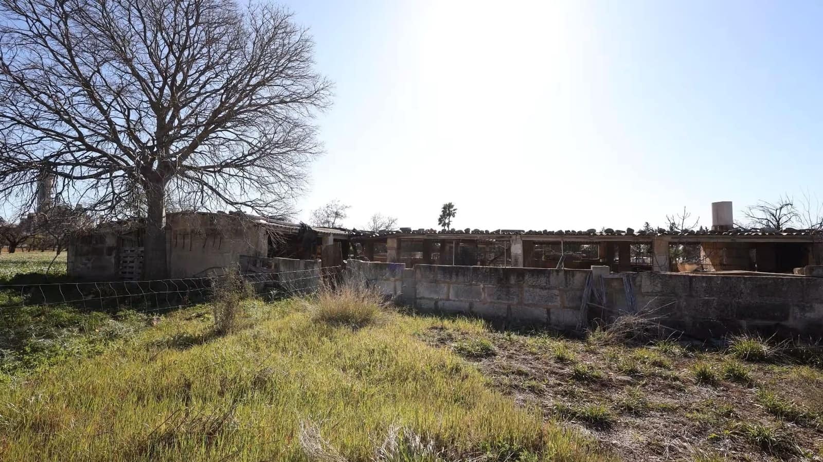 Grond te koop in Binissalem - € 445.000 (Ref: 10074651)