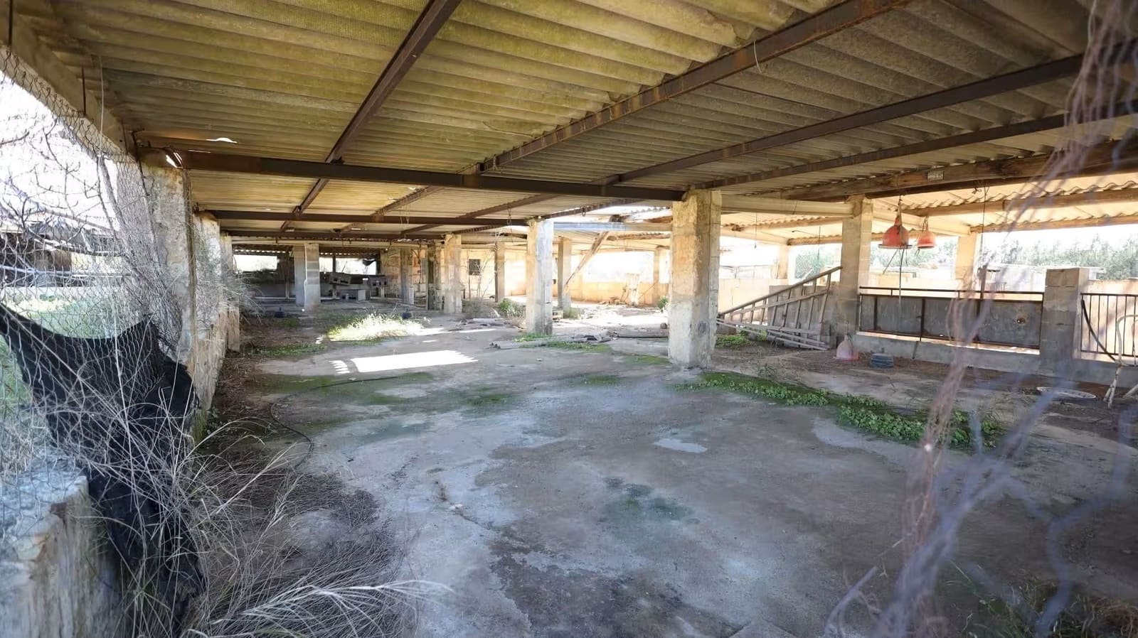 Grond te koop in Binissalem - € 445.000 (Ref: 10074651)