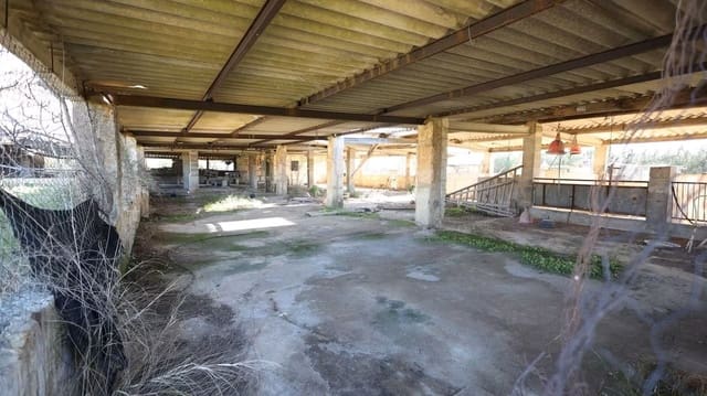 Teren niezagospodarowany na sprzedaż w Binissalem - 445 000 € (Ref: 10074651)