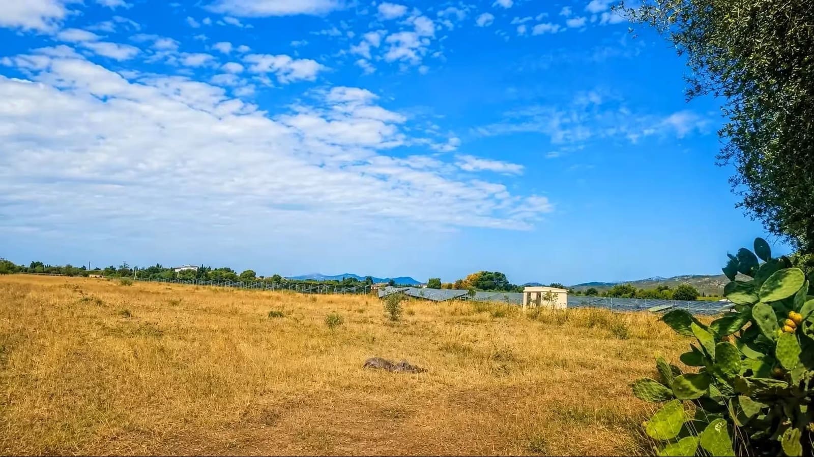 Terreno/Finca Rústica en Santa María del Camí en venta - 330.000 € (Ref: 10074652)