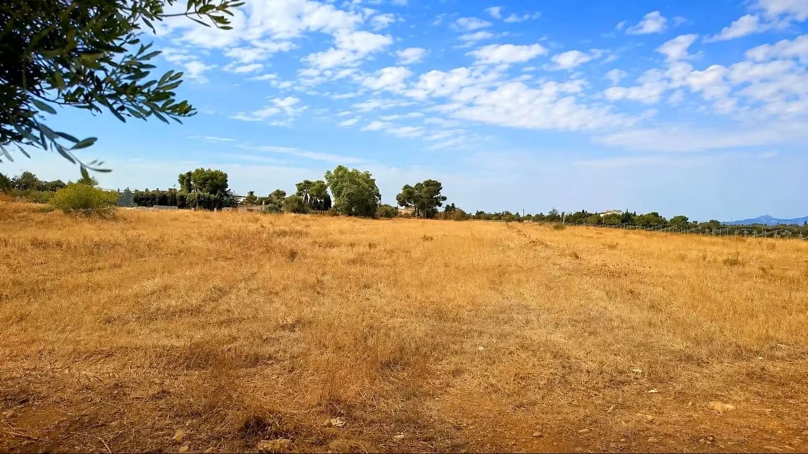 Terreno/Finca Rústica en Santa María del Camí en venta - 330.000 € (Ref: 10074652)