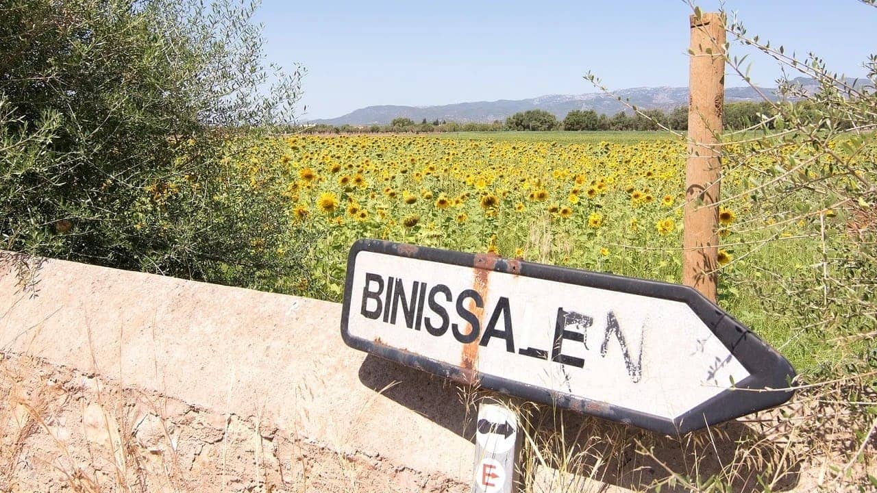 Apartamento en Binissalem en venta - 549.000 € (Ref: 10080062)