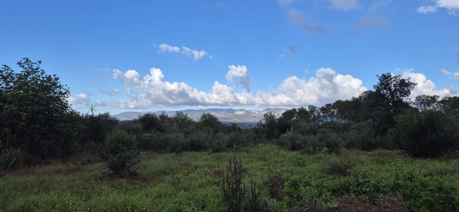 Apartamento en Costitx en venta - 330.000 € (Ref: 10080063)