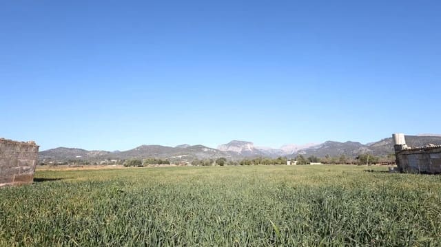 Apartamento en Binissalem en venta - 445.000 € (Ref: 10080067)