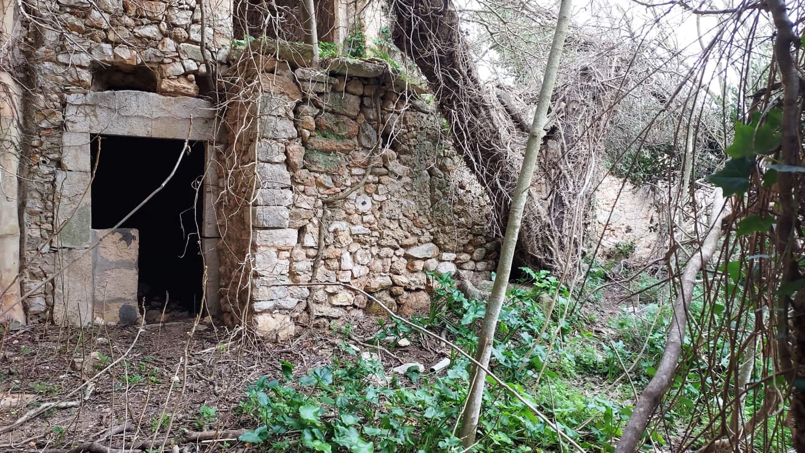 Apartamento en Binissalem en venta con piscina - 1.500.000 € (Ref: 10080077)