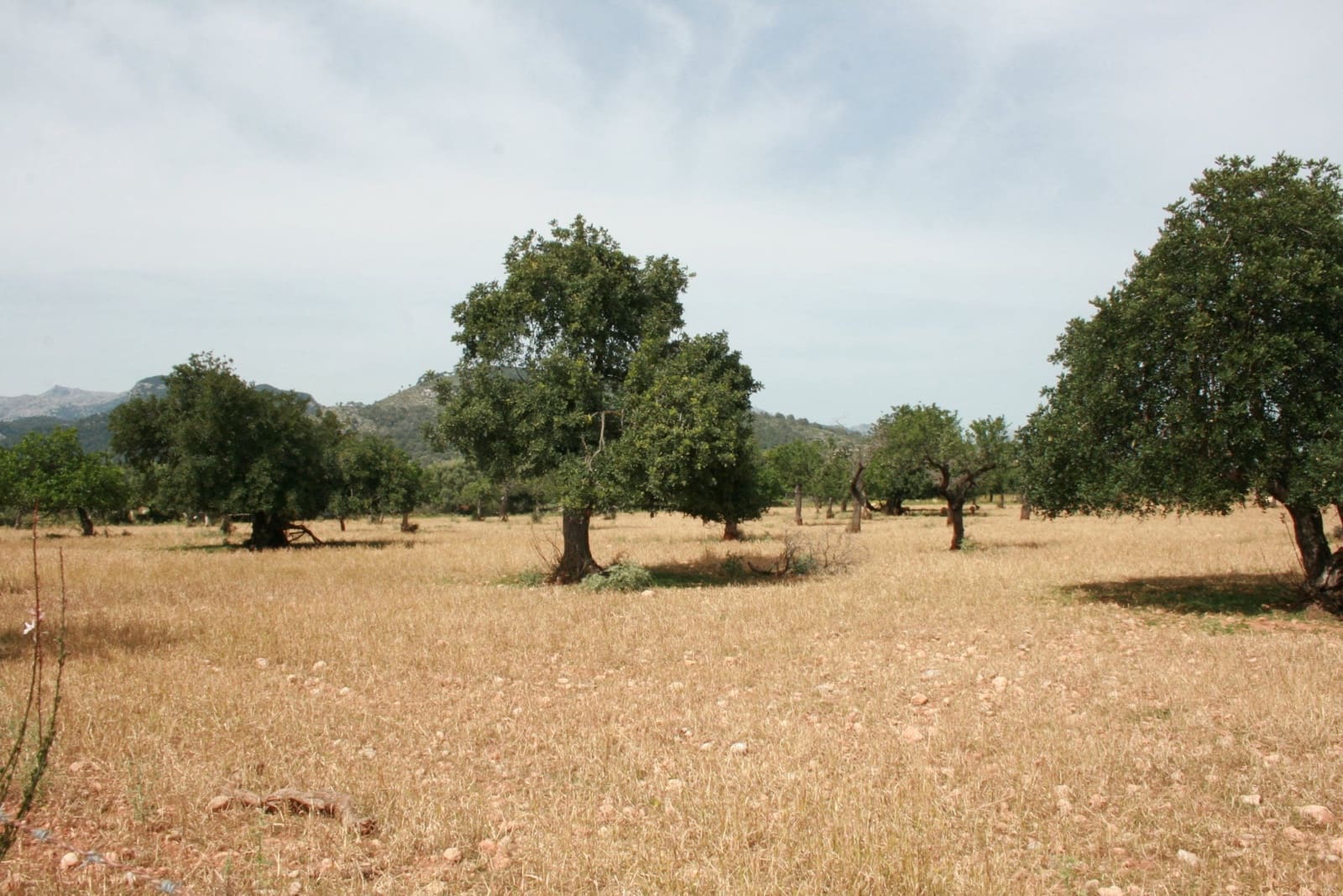 Apartamento en Lloseta en venta - 330.000 € (Ref: 10080097)