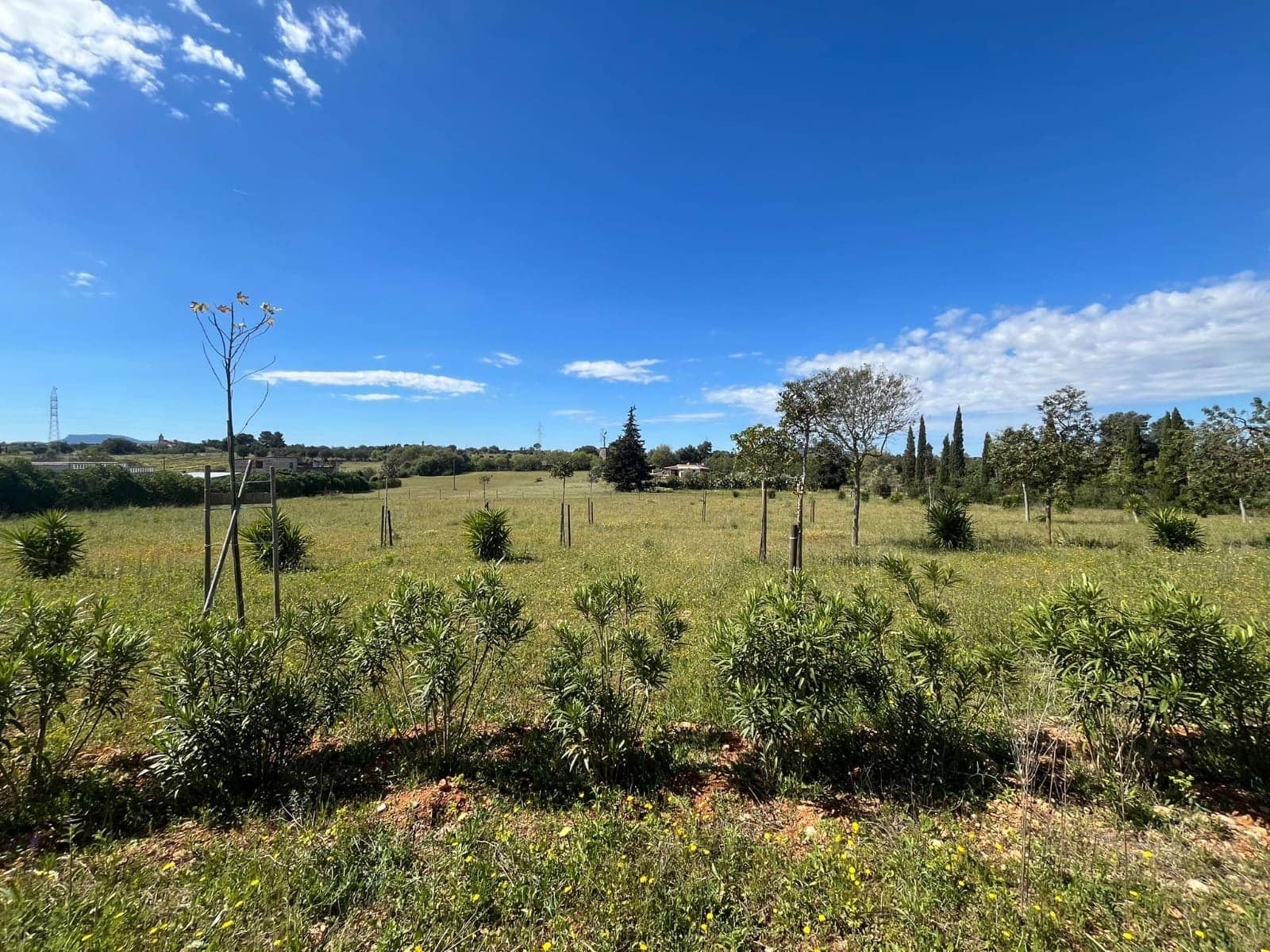 Apartamento en Sencelles en venta con piscina - 695.000 € (Ref: 10080111)