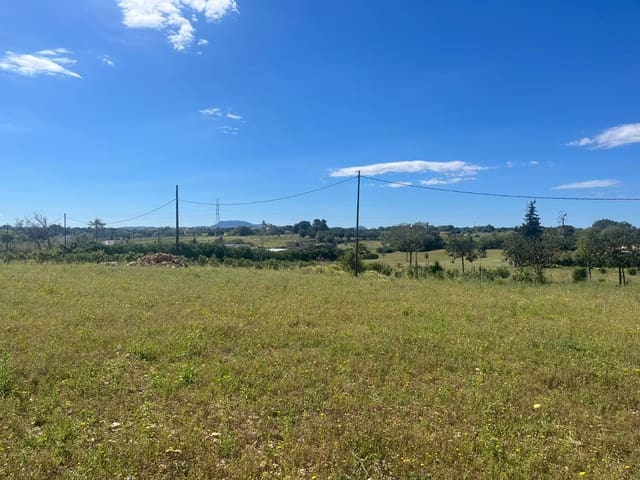 Apartamento en Sencelles en venta con piscina - 695.000 € (Ref: 10080111)