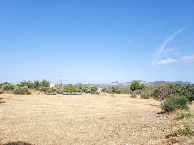 Apartamento en Inca en venta - 420.000 € (Ref: 10080112)