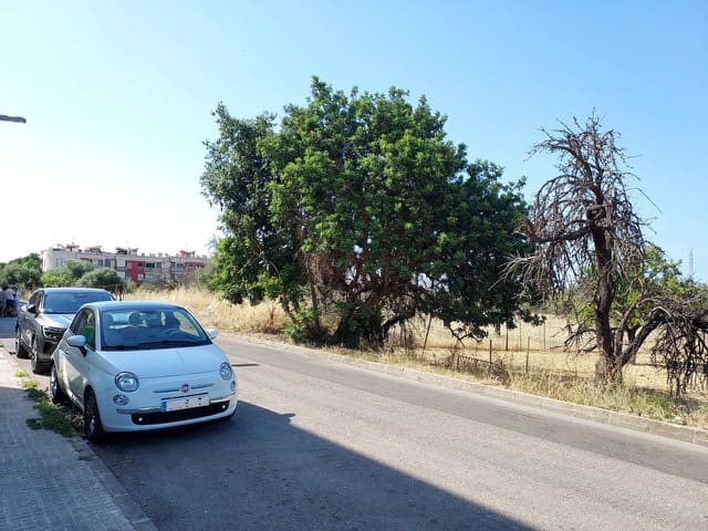 Apartamento en Inca en venta - 420.000 € (Ref: 10080112)
