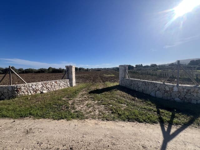 Apartamento de 3 habitaciones en Algaida en venta con piscina garaje - 380.000 € (Ref: 10080122)